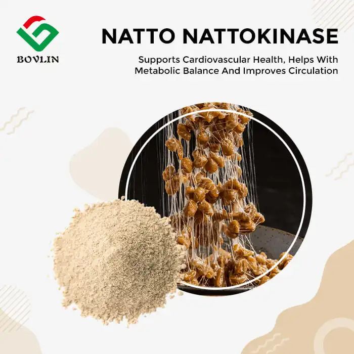 Natto Nattokinase
